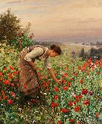 Daniel Ridgeway Knight Girl Picking Poppies china oil painting reproduction